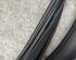 Door Seal OPEL ZAFIRA TOURER C (P12)