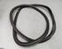 Door Seal OPEL ASTRA J Sports Tourer (P10)