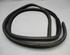 Door Seal BMW 3 Touring (E91)