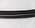 Door Seal SKODA FABIA III (NJ3)