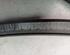 Door Seal VW PASSAT (3G2, CB2)