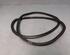 Door Seal VW PASSAT (3G2, CB2)