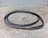 Door Seal RENAULT CLIO III (BR0/1, CR0/1), RENAULT CLIO IV (BH_)