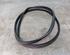 Door Seal RENAULT CLIO III (BR0/1, CR0/1), RENAULT CLIO IV (BH_)