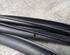 Door Seal MAZDA 2 (DE_, DH_)