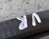 Door Seal SEAT IBIZA IV (6J5, 6P1), SEAT IBIZA IV SC (6J1, 6P5)