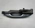 Door Handle HYUNDAI i10 (BA, IA)