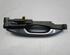 Door Handle HYUNDAI i10 (BA, IA)