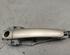 Door Handle SKODA Octavia II (1Z3)