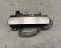 Door Handle AUDI A6 (4F2, C6)