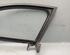 Window Frame AUDI A6 (4F2, C6)