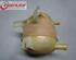 Coolant Expansion Tank RENAULT Megane Scenic (JA0/1)