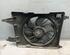 Radiator Electric Fan  Motor RENAULT MEGANE II (BM0/1_, CM0/1_)