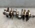 Crankshaft VW TOUAREG (7LA, 7L6, 7L7)