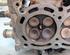 Cylinder Head MITSUBISHI COLT VI (Z3_A, Z2_A)