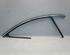 Side Window Seal VW Passat Alltrack (365), VW Passat Variant (365)