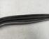 Side Window Seal FIAT Qubo (225)