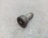 Wheel Bolt VW PASSAT (3G2, CB2)