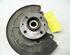 Stub Axle RENAULT KANGOO (KC0/1_)