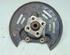 Stub Axle RENAULT Kangoo Express (FW0/1)