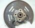 Stub Axle RENAULT Kangoo Express (FW0/1)