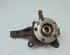 Stub Axle RENAULT Kangoo Express (FW0/1)