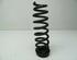 Coil Spring BMW 3 (E90)