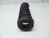 Coil Spring BMW 1 (E87)