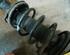 Suspension Strut MAZDA MPV I (LV)