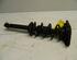 Suspension Strut NISSAN ALMERA TINO (V10)