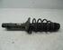 Suspension Strut AUDI A3 (8L1)