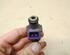 Injector Nozzle RENAULT KANGOO (KC0/1_)