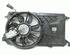 Radiator Electric Fan  Motor FORD Focus II (DA, DP, HCP)