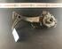 Stub Axle AUDI A4 Avant (8D5, B5)