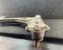 Track Control Arm OPEL MERIVA B MPV (S10)