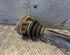 Drive Shaft BMW 3 Compact (E46)