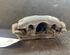 Brake Caliper RENAULT MEGANE III Hatchback (BZ0/1_, B3_)