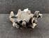 Brake Caliper VW GOLF IV (1J1)