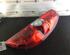 Combination Rearlight FIAT Doblo Cargo (263)