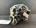 Dynamo (Alternator) RENAULT TWINGO II (CN0_)