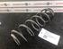 Coil Spring SKODA Fabia II (542)