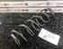 Coil Spring SKODA Fabia II (542)