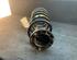 Coil Spring LANCIA Musa (350), FIAT Idea (350)