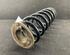 Coil Spring VW Passat Variant (3C5)