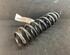 Coil Spring BMW 1 (E87), BMW 1 (E81)