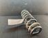 Coil Spring BMW 1 (E87), BMW 1 (E81)