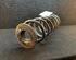 Coil Spring VW PASSAT (362)