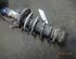 Suspension Strut SKODA Fabia II (542)