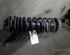 Suspension Strut VW Kaefer (--)