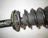 Suspension Strut OPEL Corsa B (73, 78, 79)